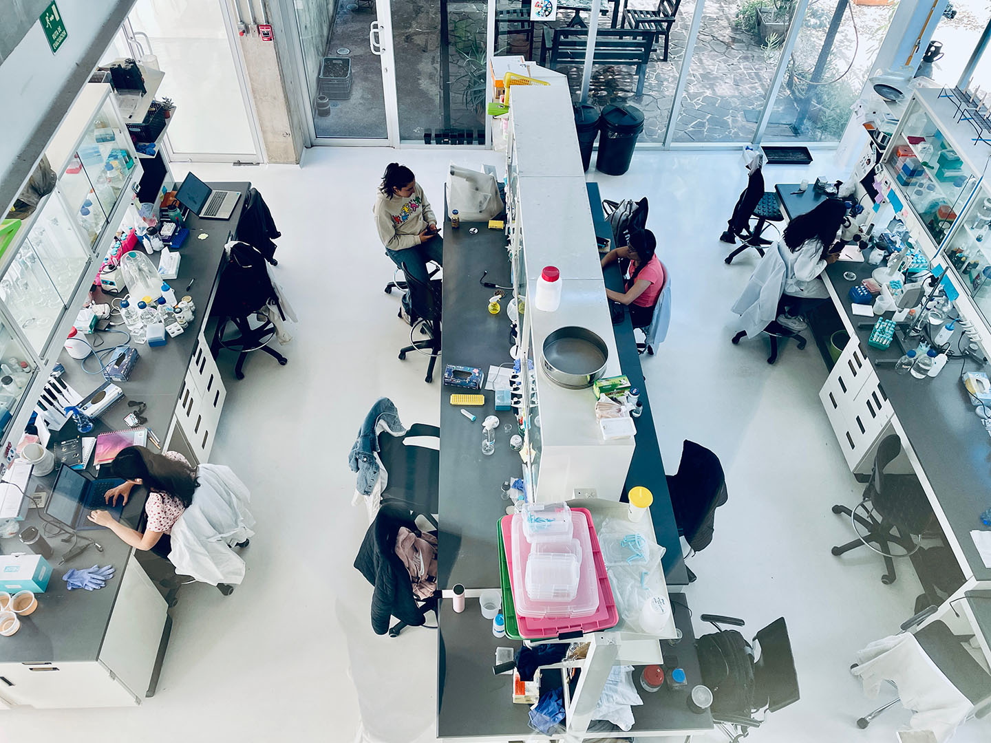 Comienza el trabajo en los laboratorios